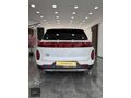A CLASS AUTO 2023 SKYWELL ET5 LEGEND