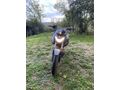 Sahibinden Mondial 125 Drift L CBS 