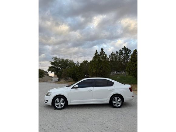 Sahibinden Skoda Octavia 1.6 TDI Optimal 2014 Model