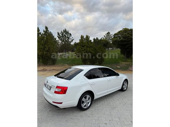 Sahibinden Skoda Octavia 1.6 TDI Optimal 2014 Model