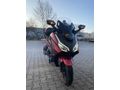Sahibinden Honda Forza 250 (NSS250) 