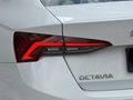 Auto Velux 2023 Boyasız Skoda Octavia 1.5 e-Tec Dsg Premium