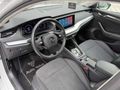 Auto Velux 2023 Boyasız Skoda Octavia 1.5 e-Tec Dsg Premium