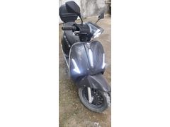Sahibinden Yuki Margherita 50