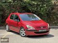 SER AUTODAN / PEUGEOT 307 XS / 1.6 110BG / SUUNROF