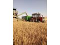 Sahibinden Massey Ferguson 265 S Ankara