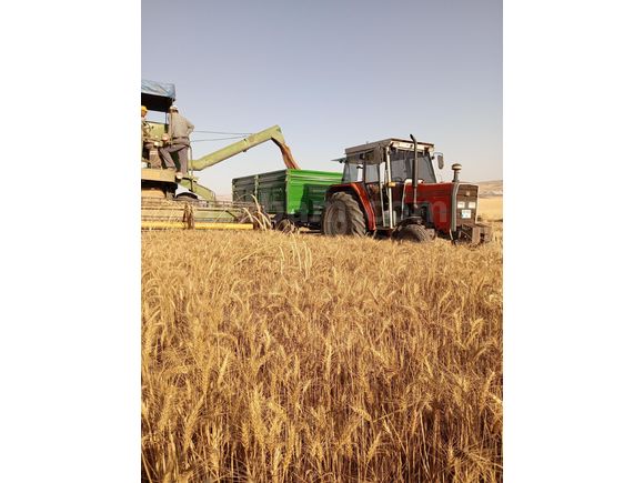 Sahibinden Massey Ferguson 265 S Ankara