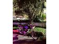 Sahibinden Kanuni Breton 125 İzmir