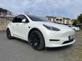 2023 PERFORMANCE EAP'Lİ TRAMERSIZ DEĞİŞENSİZ 1 BOYA ÇEKİ DEMİRLİ