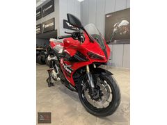 SRK 250RR PRO YENİ MODEL