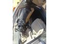 Sahibinden Honda Civic 1.6i VTEC Premium 2008 Model 