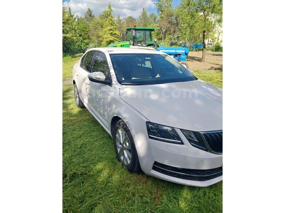 Sahibinden Skoda Octavia 1.0 TSI Style 2017 Model