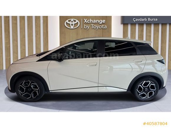 ÇAVDARLI BYD PLAZA'DAN 2025 DOLPHIN DESIGN