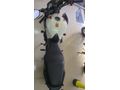 HONDA CB 650F 36000 KM DE 2015 MODEL. HASARSIZ KAZASIZ