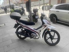 Sahibinden Kuba Reiz 50 