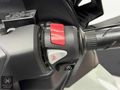 MOTTO MOTORS-Forza 250 (NSS250) FULL AKSESUAR SERVİS BAKIMLI