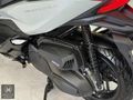 MOTTO MOTORS-Forza 250 (NSS250) FULL AKSESUAR SERVİS BAKIMLI