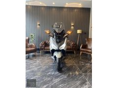 KAYIKÇIOĞLU AUTO-2024 MODEL - FORZA 250 - HATASIZ