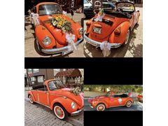Cabrio vosvos unuzla yazın tadını çıkarın