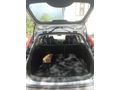 Sahibinden Ford Focus 1.6 Collection 2007 Model
