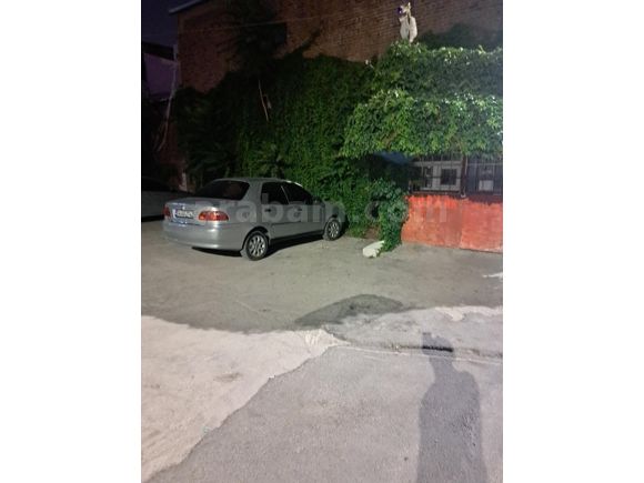 tatile çıkmaya hazır