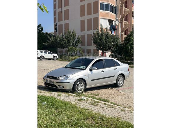 Zilll focus 