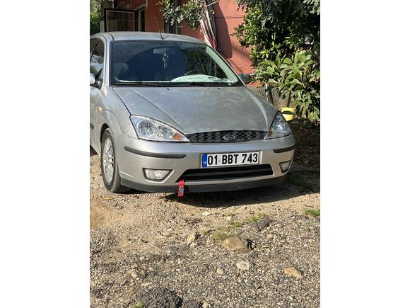 Zilll focus 