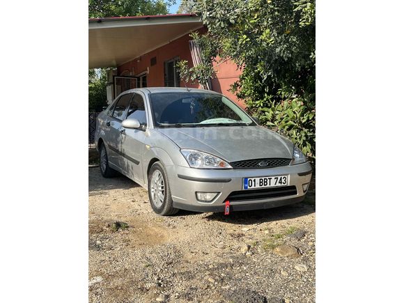 Zilll focus 