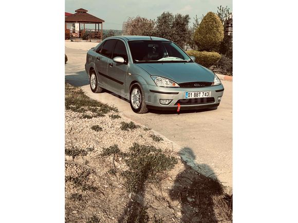 Zilll focus 