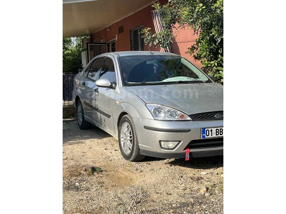 Zilll focus 
