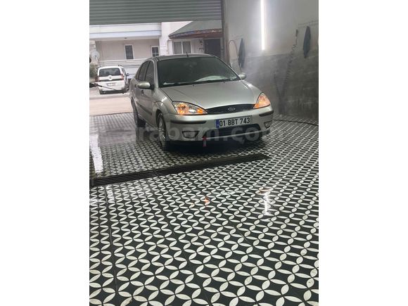 Zilll focus 