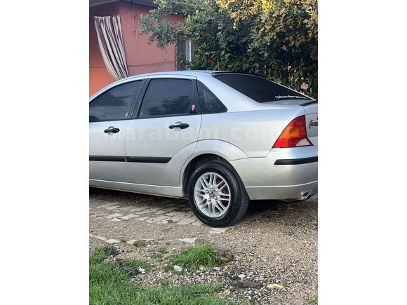 Zilll focus 
