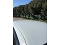 Sahibinden Renault Clio 1.5 dCi Authentique 2005 Model 