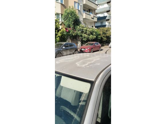 Sahibinden Skoda Octavia 1.6 Ambiente 2004 Model