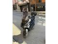 Sahibinden SYM Jet X 125 İstanbul