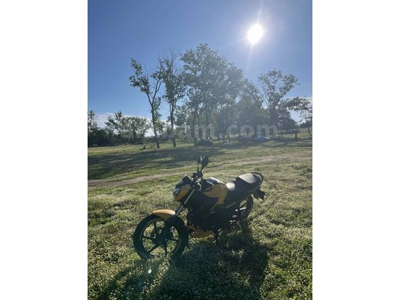  TVS Raider 125 