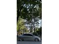 Sahibinden Honda Civic 1.6i VTEC Elegance 2007 Model 