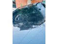 Bayandan Temiz Renault Clio 1.4 RXT 2002 Model 