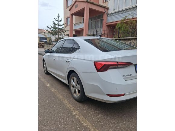 Sahibinden Skoda Octavia 1.0 e-Tec Elite 2022 Model