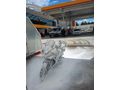 Sahibinden CFmoto 250SR