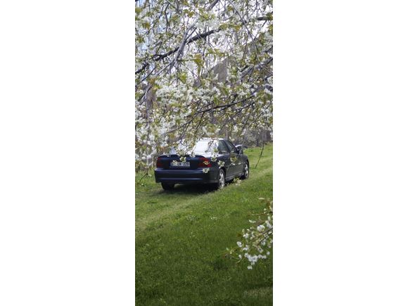 Sahibinden Opel Vectra 2.0 CDX 2000 Model  280.000 km Lacivert