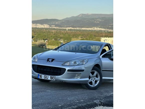 Sahibinden Peugeot 407 2.0 Executive 2005 Model 
