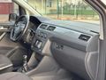 PIRIL PIRIL TERTEMİZ CADDY