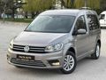PIRIL PIRIL TERTEMİZ CADDY