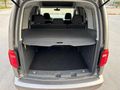 PIRIL PIRIL TERTEMİZ CADDY