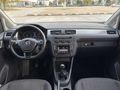 PIRIL PIRIL TERTEMİZ CADDY