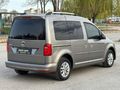 PIRIL PIRIL TERTEMİZ CADDY