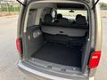 PIRIL PIRIL TERTEMİZ CADDY