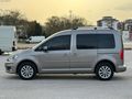 PIRIL PIRIL TERTEMİZ CADDY