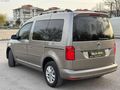 PIRIL PIRIL TERTEMİZ CADDY